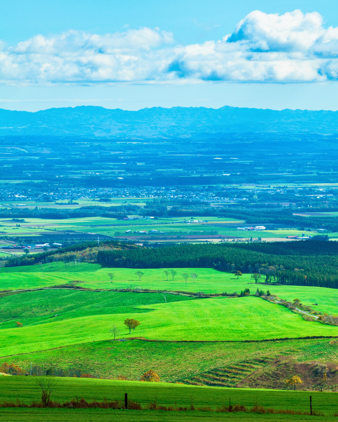 Interior coordination Hokkaido