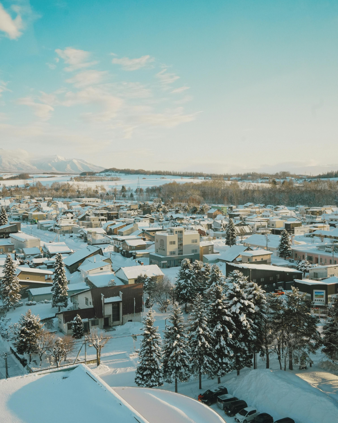 Property Purchase Support